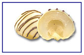 Fruitchocs 
